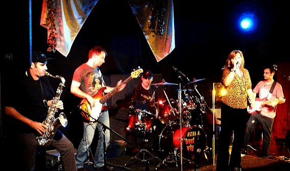 Vicky Turner Band
